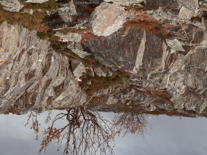 De holder hverandre oppe der nede!    