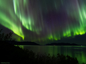 Nordlys over Altafjorden II 