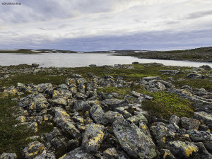 Sommerkveld ved Reinoksvannan          